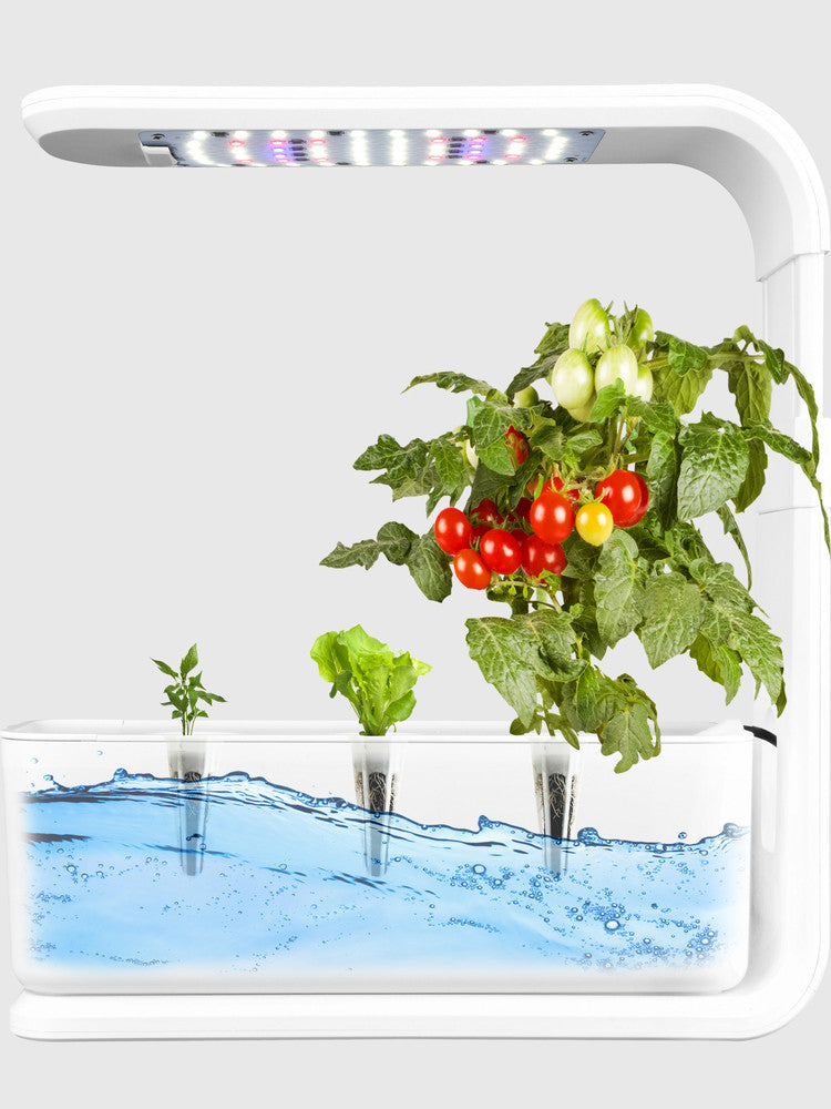 Indoor Hydroponic Plant Growing System (3 Pods / 6 Pods / 12 Pods) – Grow Fresh Herbs & Vegetables All Year 🌱