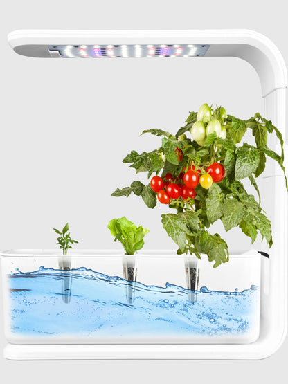 Indoor Hydroponic Plant Growing System (3 Pods / 6 Pods / 12 Pods) – Grow Fresh Herbs & Vegetables All Year 🌱