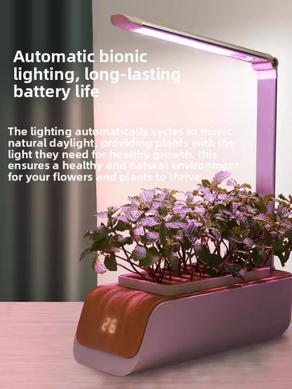 Indoor Hydroponic Plant Growing System (3 Pods / 6 Pods / 12 Pods) – Grow Fresh Herbs & Vegetables All Year 🌱