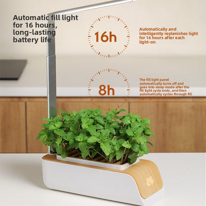 Indoor Hydroponic Plant Growing System (3 Pods / 6 Pods / 12 Pods) – Grow Fresh Herbs & Vegetables All Year 🌱